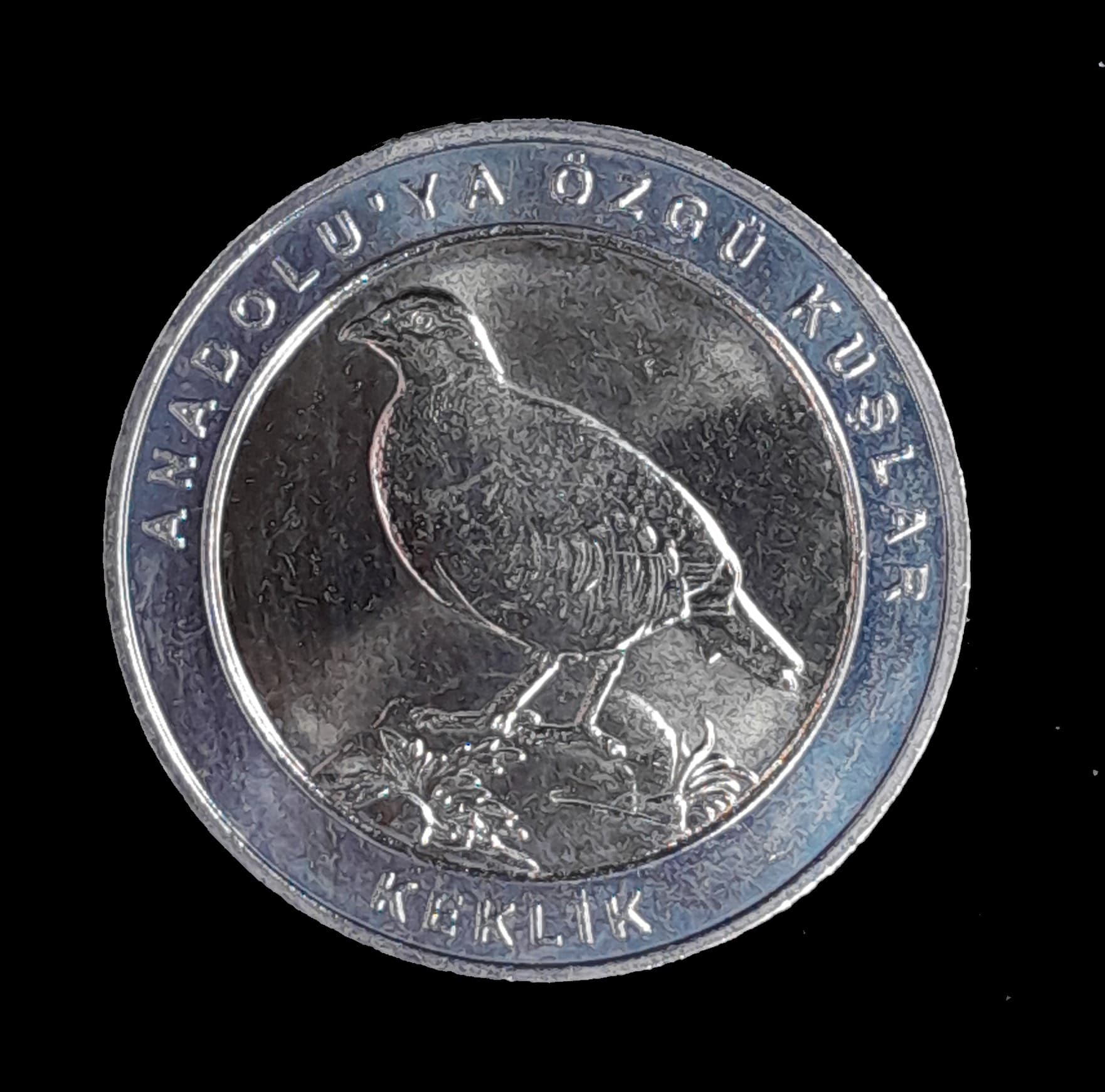 Turquía 1 Kurus 2019 SC KM 1431 Muy escasa