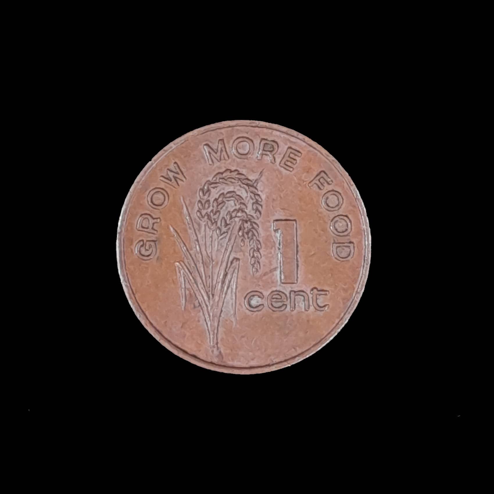 Fiji 1 Cent 1979 Excelente KM 27 Elizabeth II FAO