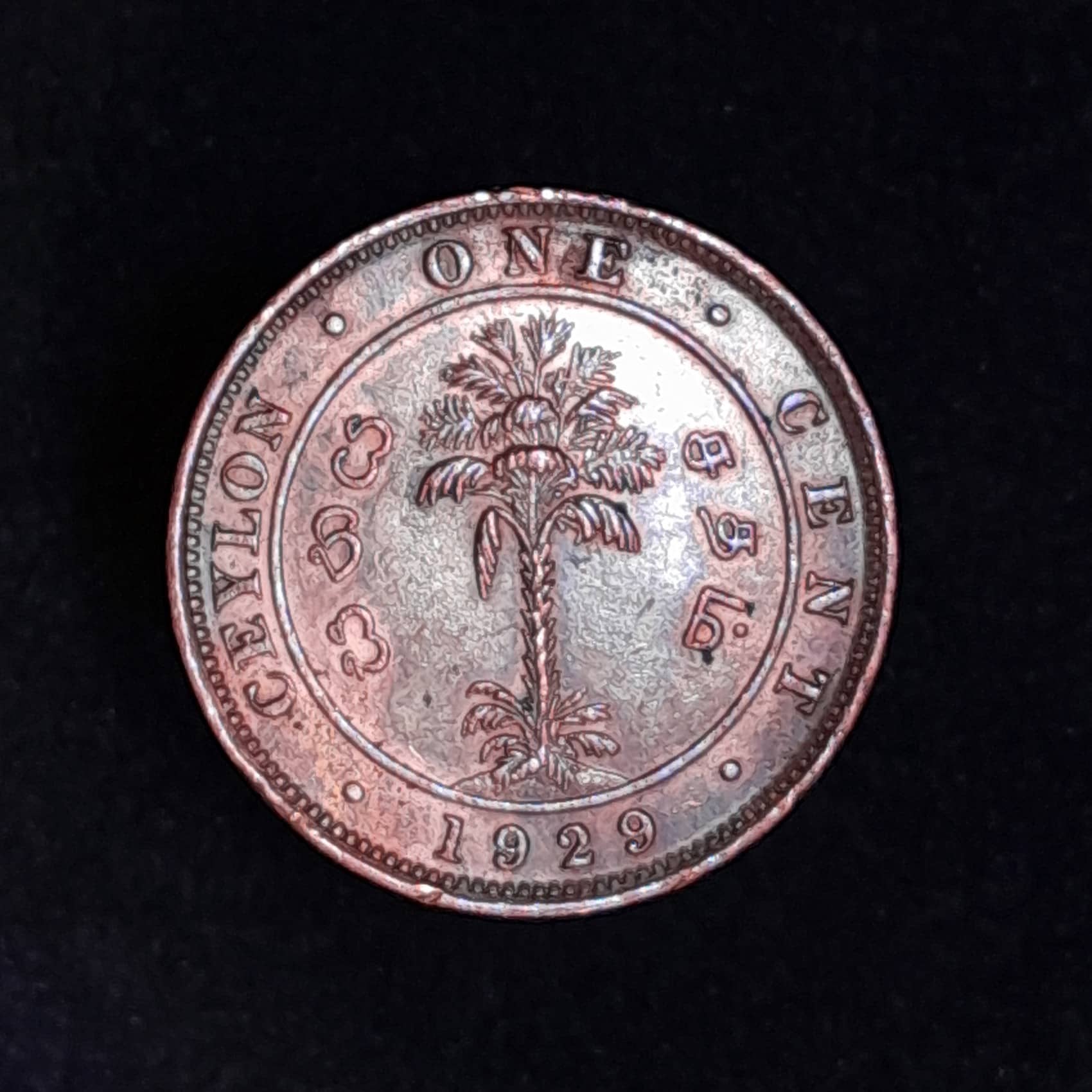 Ceylon 1 Cent 1929 Excelente KM 107 Jorge VI