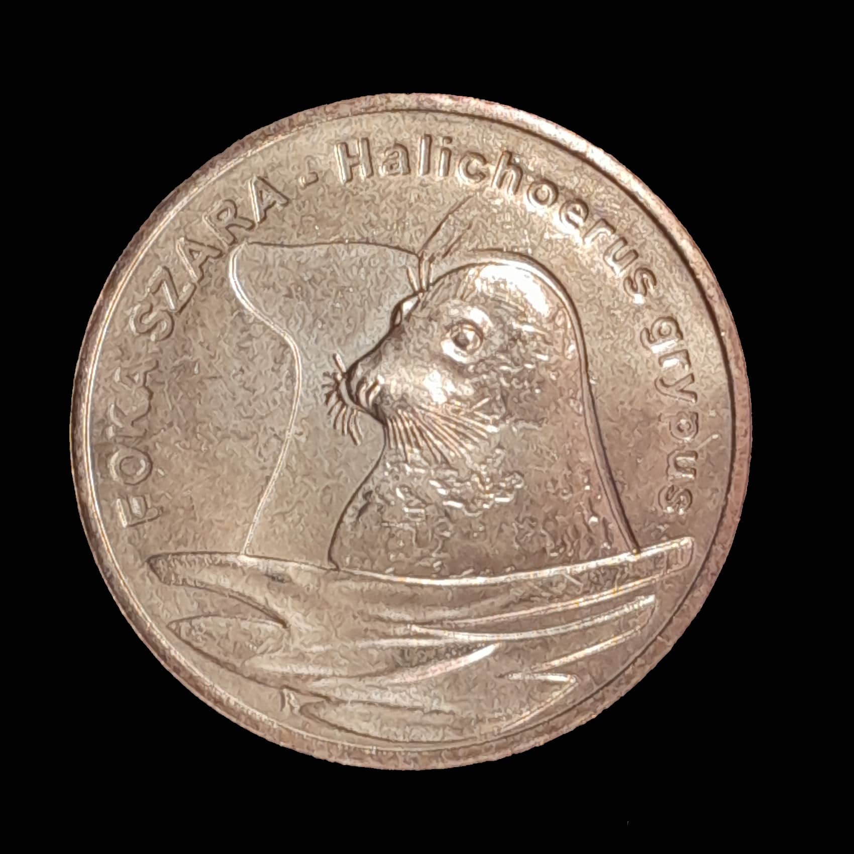Polonia 2 Zlote 2007 Excelente Y 578 Foca Gris
