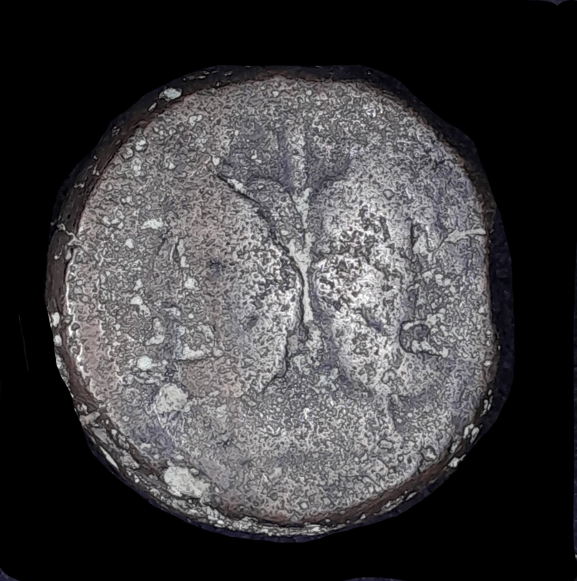 Roma República As Ley flaminia 217 a.C.