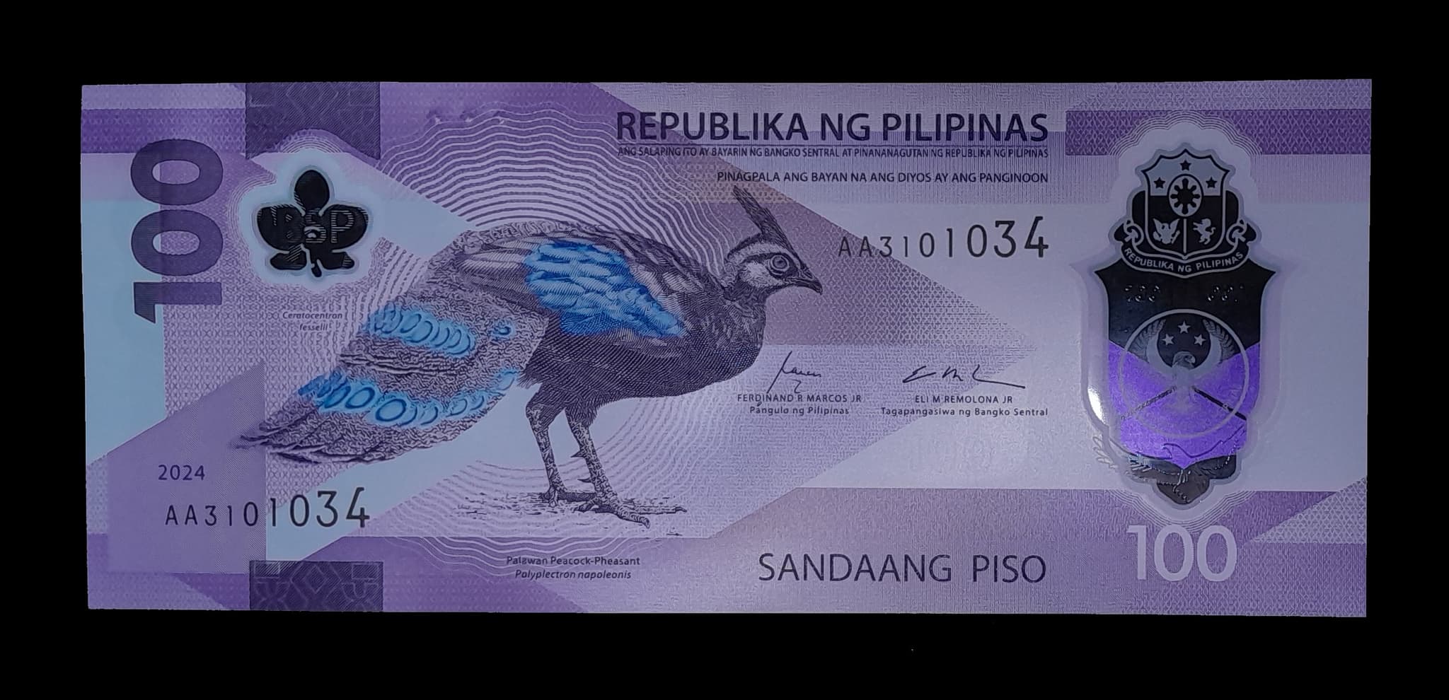 Filipinas 100 Piso 2024 Sin Circular TBB 1106a