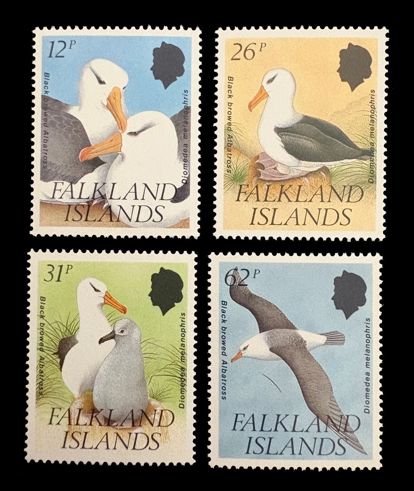 Islas Malvinas 1990 Albatros, fauna protegida Nv. Yv. 540/43